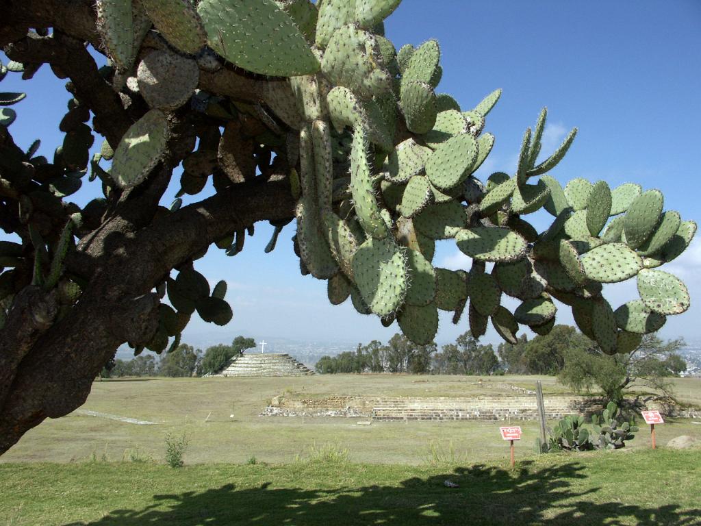 100213_Cacaxtla 098.JPG